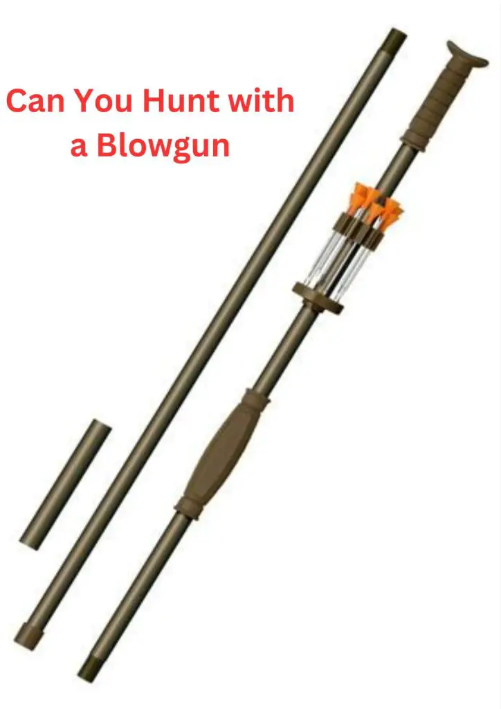 Can You Hunt with a Blowgun