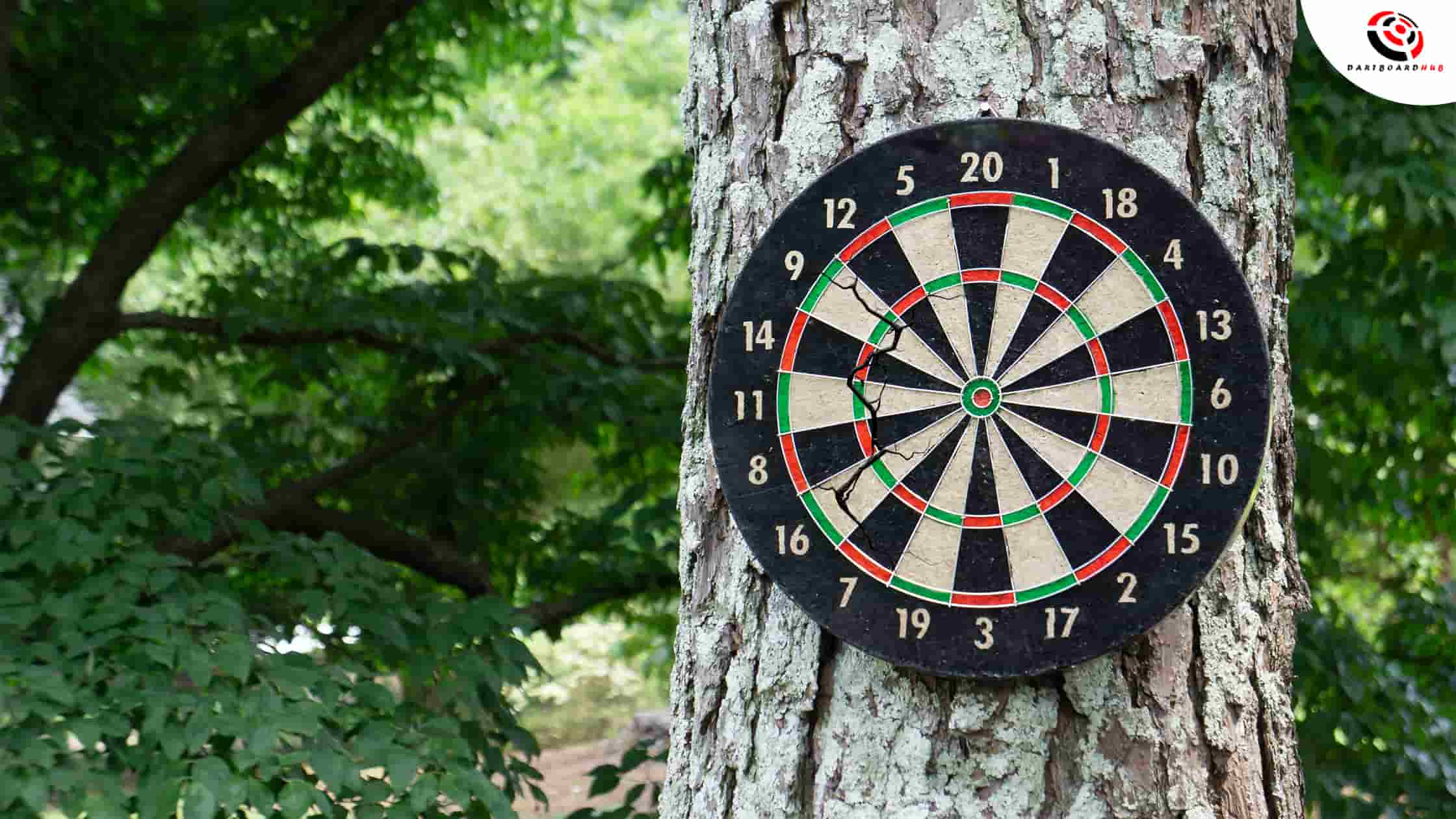 Can A Dart Board Be Left Outside